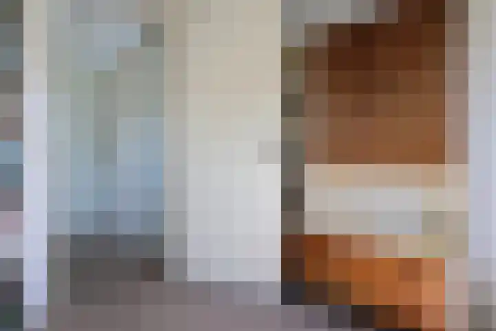 Toellân 3 Heerenveen thumbnail 37