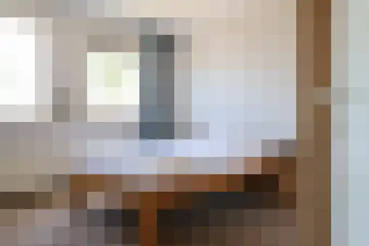 Toellân 3 Heerenveen thumbnail 41
