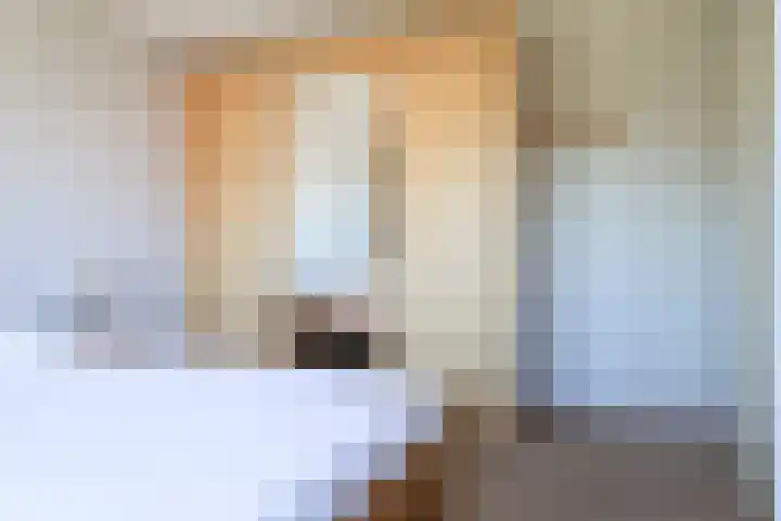 Toellân 3 Heerenveen thumbnail 43