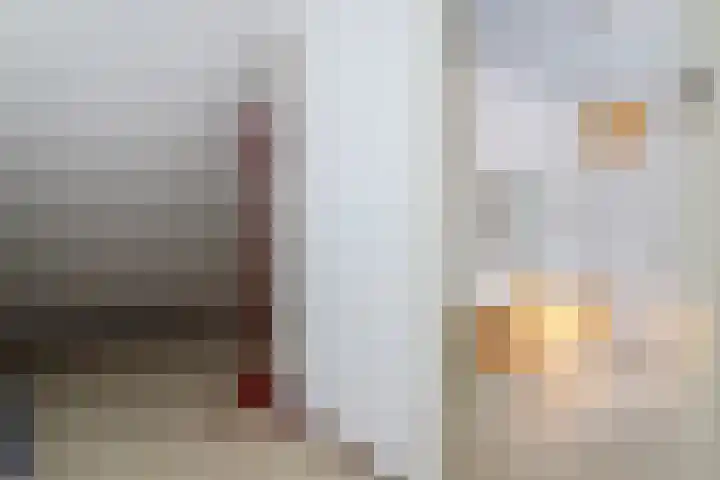 Toellân 3 Heerenveen thumbnail 48