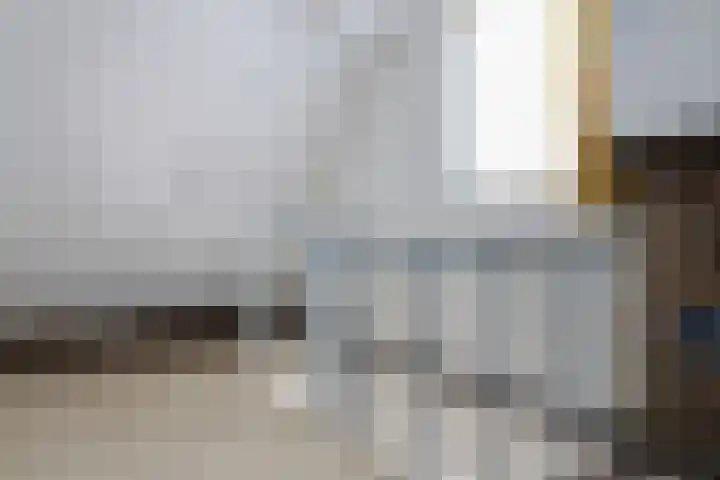 Toellân 3 Heerenveen thumbnail 53