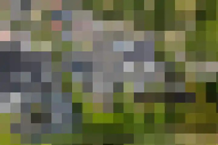 Toellân 3 Heerenveen thumbnail 54