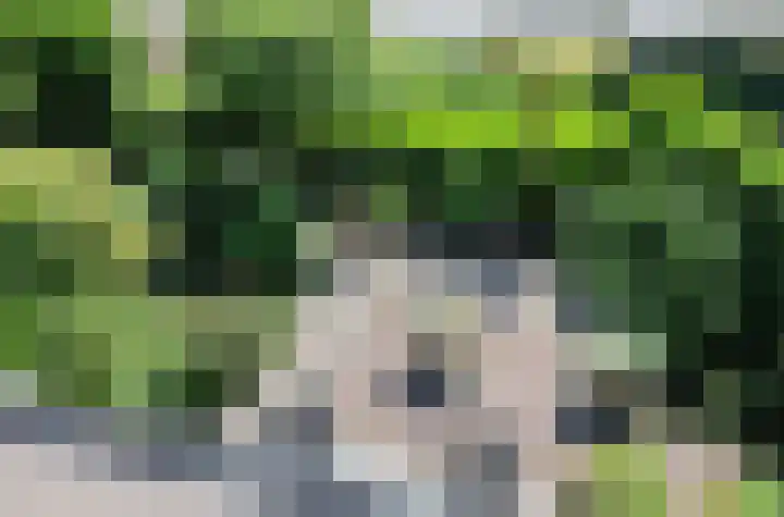 Toellân 3 Heerenveen thumbnail 55