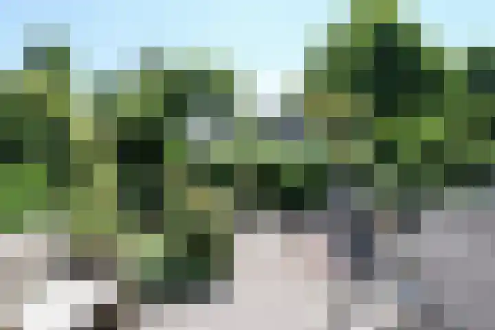 Toellân 3 Heerenveen thumbnail 56