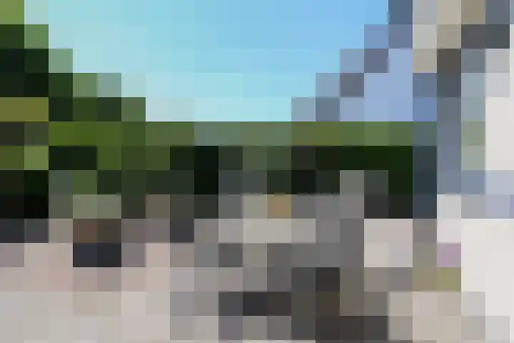 Toellân 3 Heerenveen thumbnail 57
