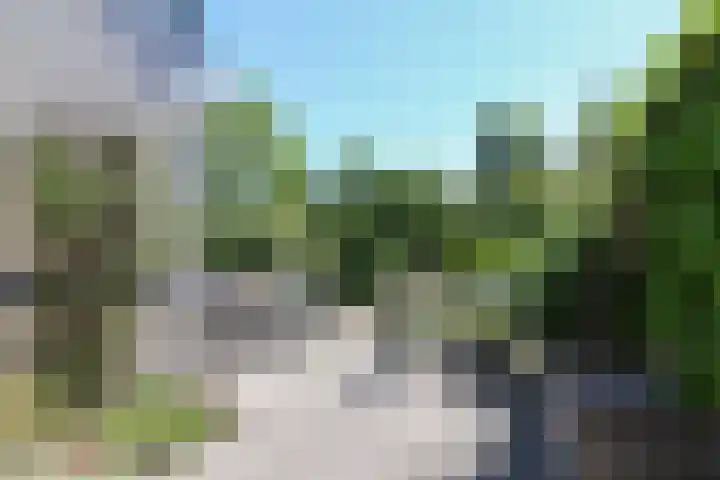 Toellân 3 Heerenveen thumbnail 58