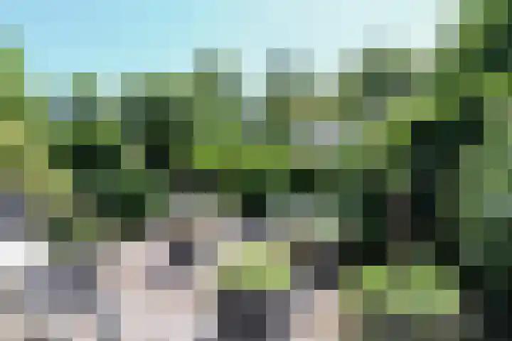 Toellân 3 Heerenveen thumbnail 60