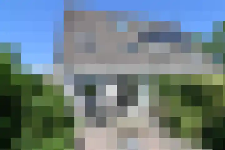 Toellân 3 Heerenveen thumbnail 61