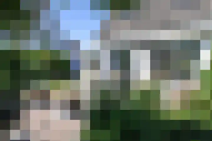 Toellân 3 Heerenveen thumbnail 62
