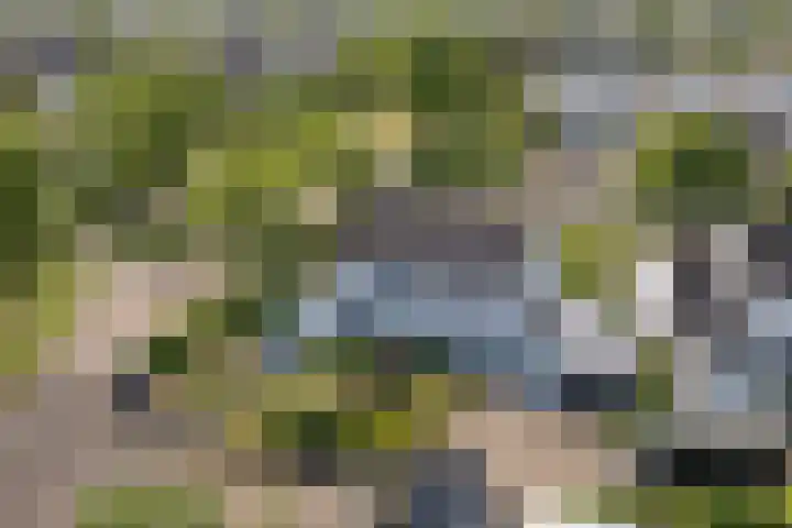 Toellân 3 Heerenveen thumbnail 68