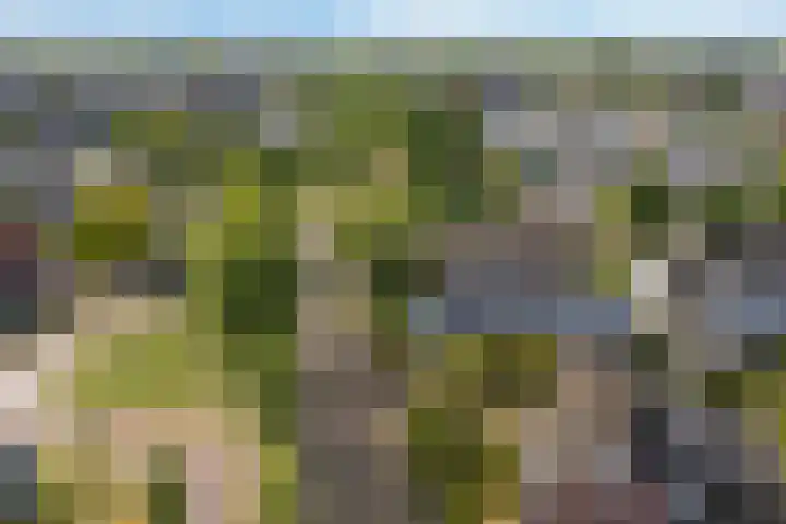 Toellân 3 Heerenveen thumbnail 69