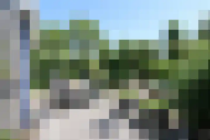 Toellân 3 Heerenveen thumbnail 7