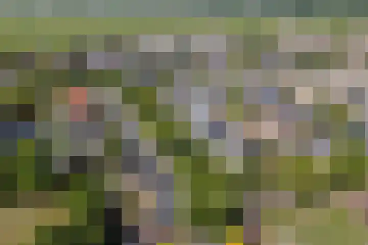 Toellân 3 Heerenveen thumbnail 70