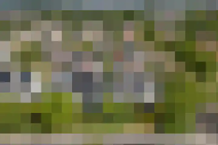 Toellân 3 Heerenveen thumbnail 71