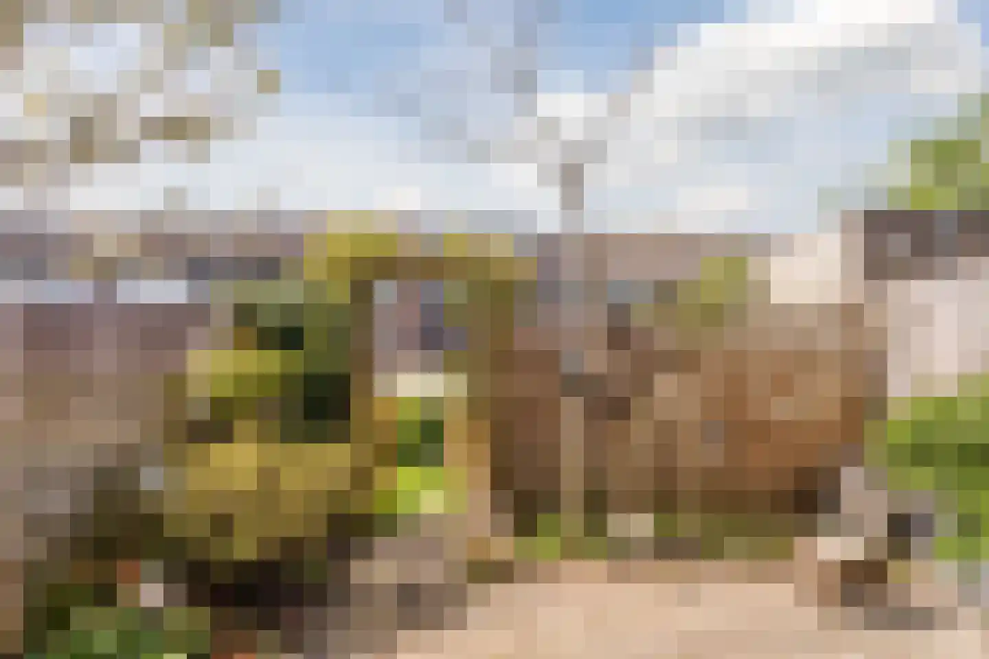 Toendra 109 Capelle aan den IJssel thumbnail 39
