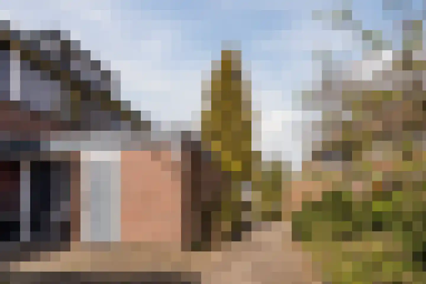 Toendra 109 Capelle aan den IJssel thumbnail 43
