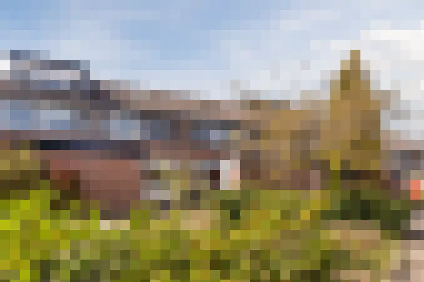 Toendra 109 Capelle aan den IJssel thumbnail 6