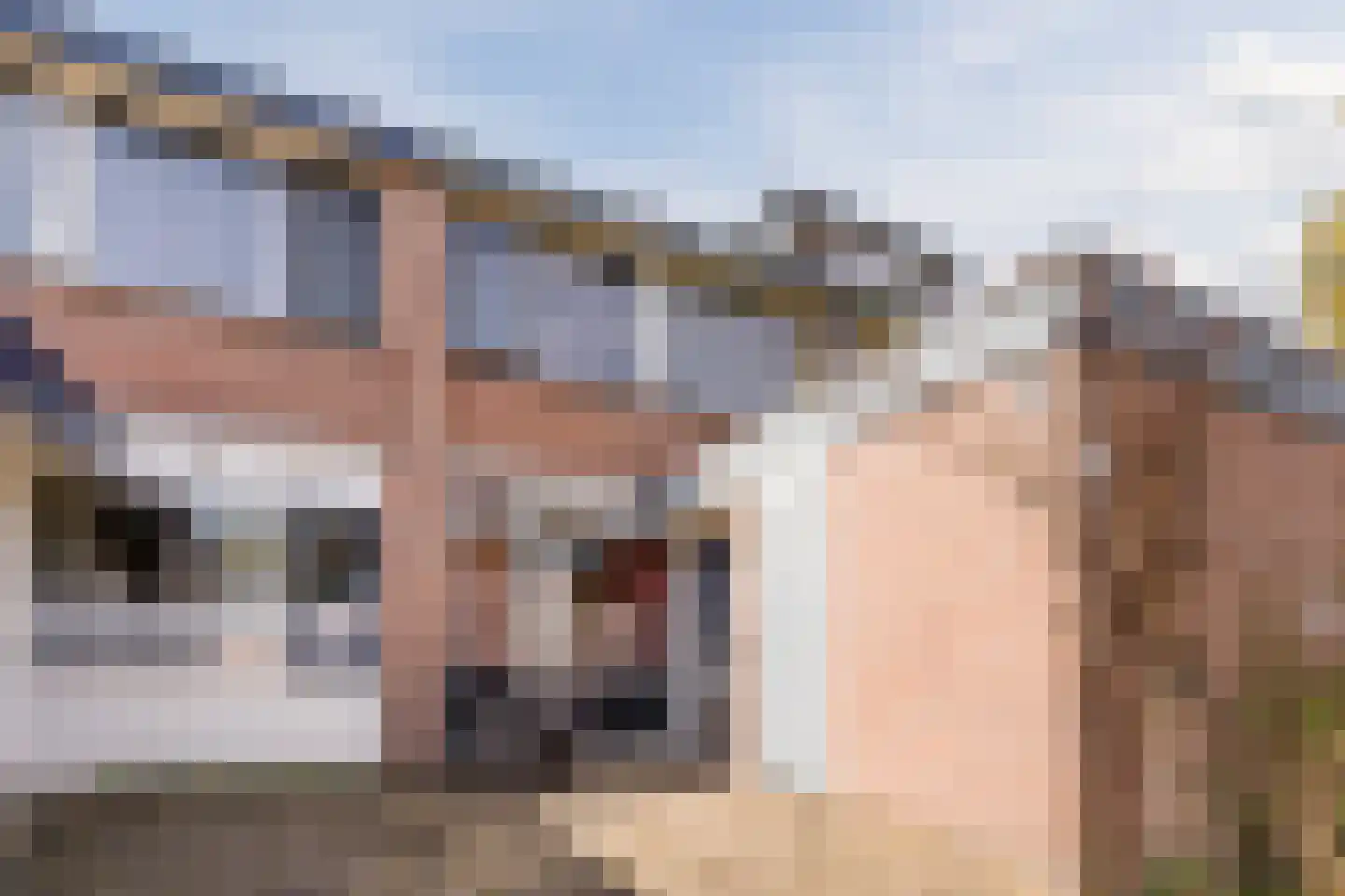 Toendra 109 Capelle aan den IJssel thumbnail 7