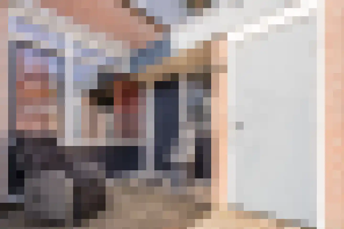 Toendra 109 Capelle aan den IJssel thumbnail 8