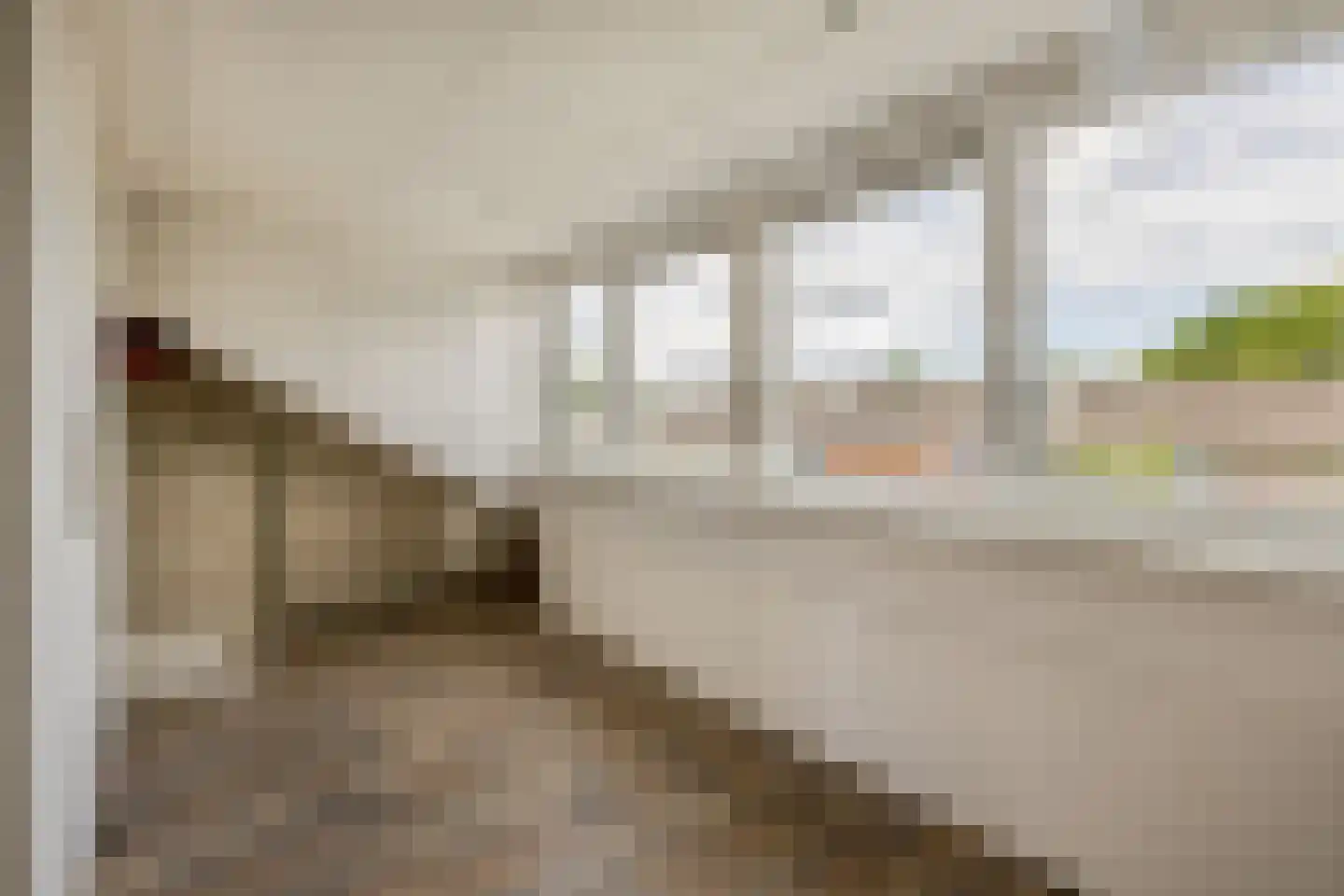 Toendra 111 Capelle aan den IJssel thumbnail 19