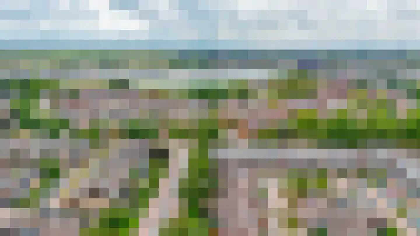 Toendra 111 Capelle aan den IJssel thumbnail 31