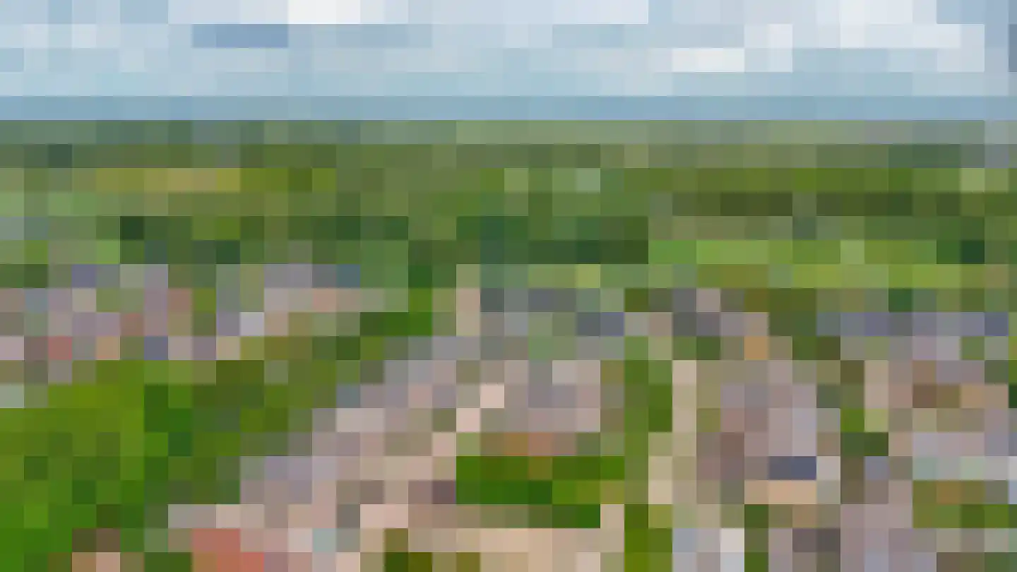 Toendra 111 Capelle aan den IJssel thumbnail 32