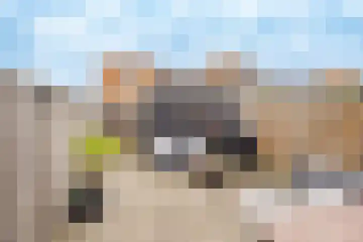 Toendrameer 109 Houten thumbnail 10