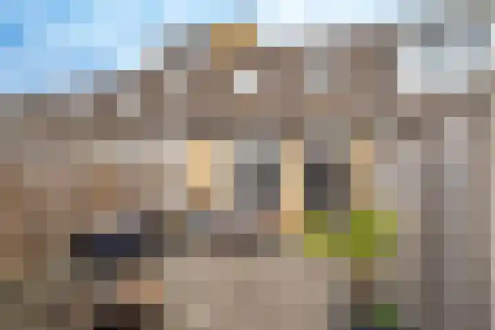 Toendrameer 109 Houten thumbnail 12