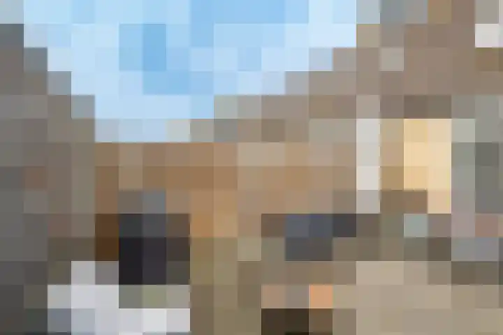 Toendrameer 109 Houten thumbnail 13