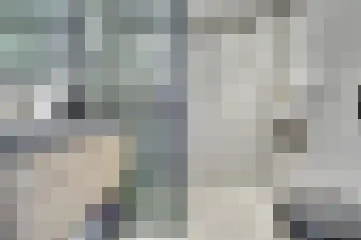 Toendrameer 109 Houten thumbnail 15