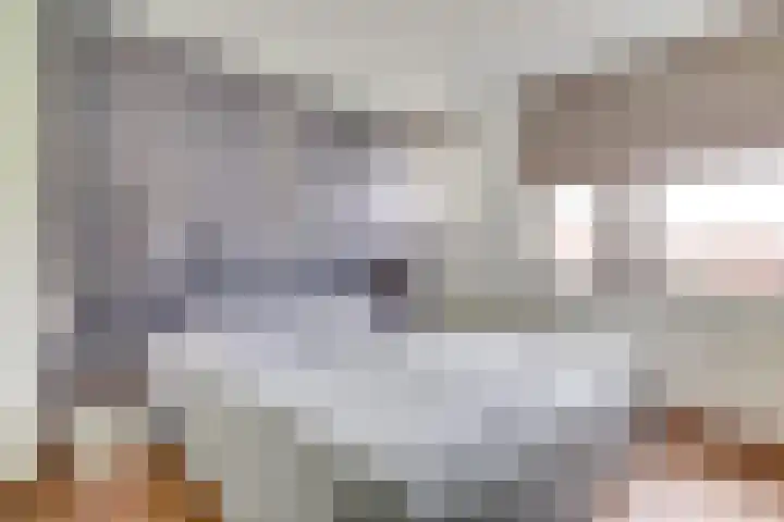 Toendrameer 109 Houten thumbnail 18