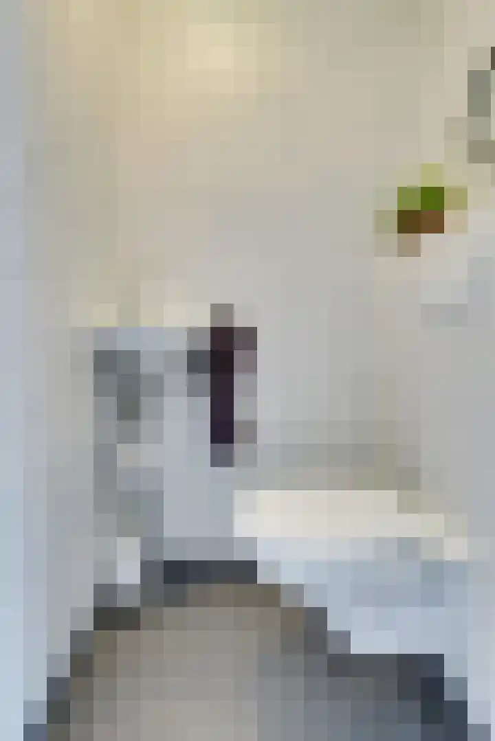 Toendrameer 109 Houten thumbnail 21