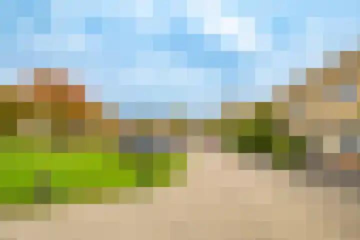 Toendrameer 109 Houten thumbnail 24