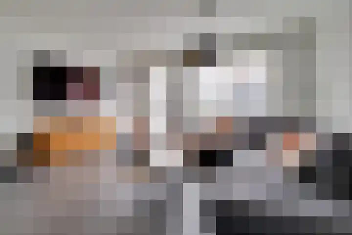 Toendrameer 109 Houten thumbnail 5