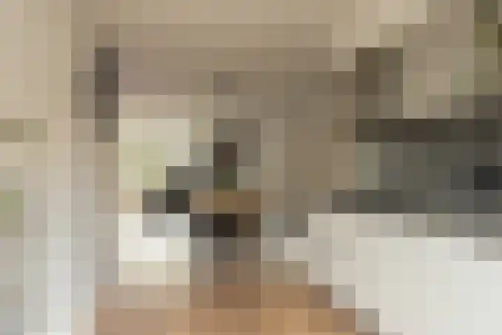 Toendrameer 36 Houten thumbnail 13