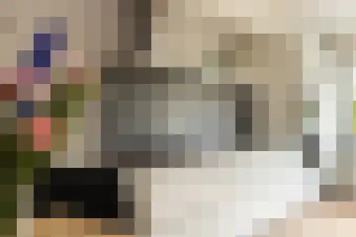 Toendrameer 36 Houten thumbnail 14
