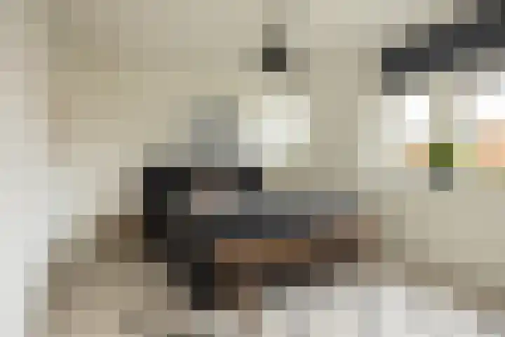 Toendrameer 36 Houten thumbnail 24