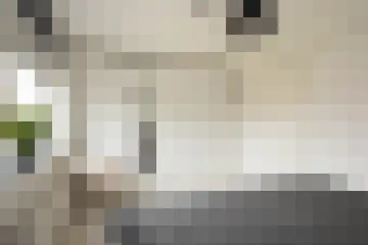 Toendrameer 36 Houten thumbnail 25