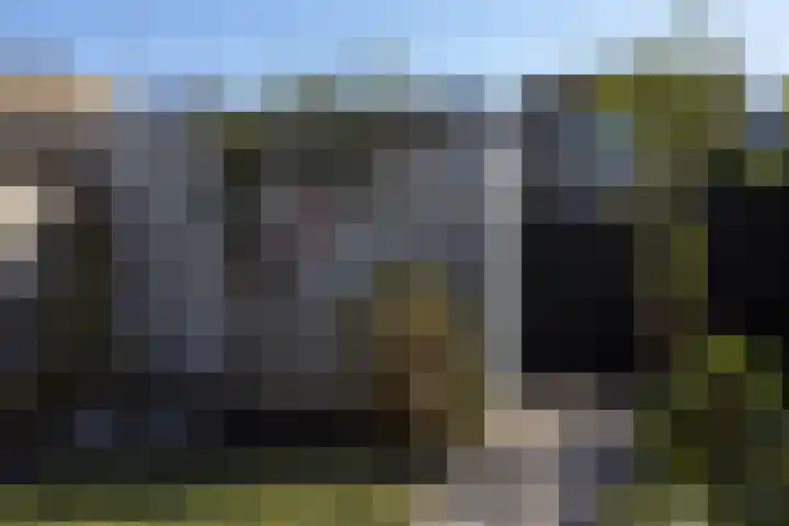 Toendrameer 36 Houten thumbnail 44