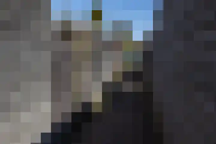 Toendrameer 36 Houten thumbnail 48