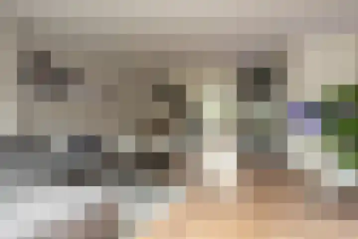 Toendrameer 36 Houten thumbnail 5