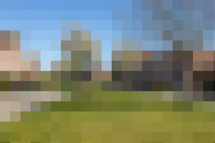 Toendrameer 36 Houten thumbnail 54