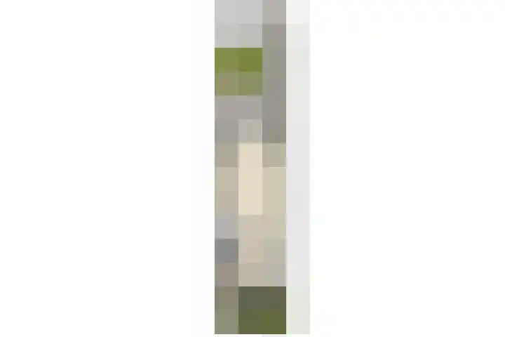 Toendrameer 36 Houten thumbnail 61