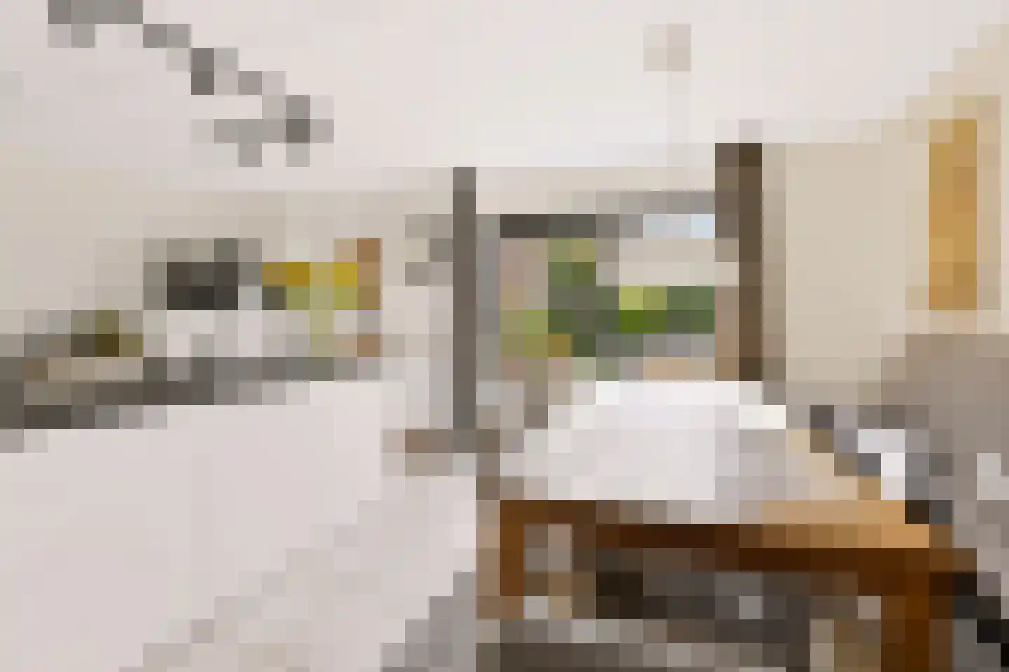 Toendrameer 44 Houten thumbnail 11