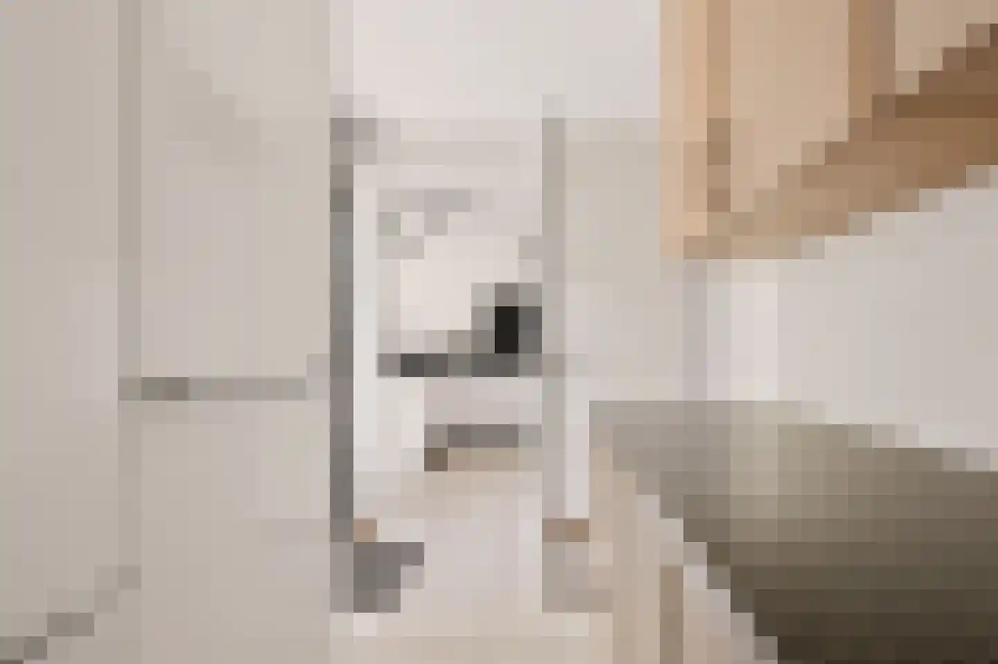 Toendrameer 44 Houten thumbnail 17