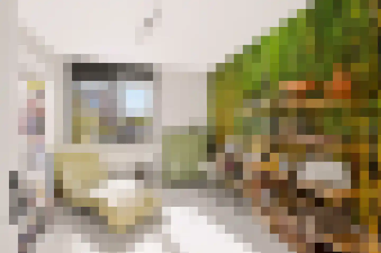 Toendrameer 44 Houten thumbnail 28