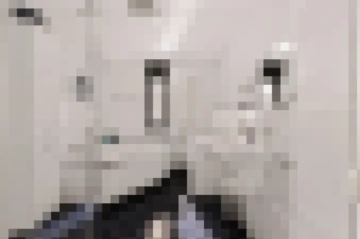 Toendrameer 44 Houten thumbnail 31
