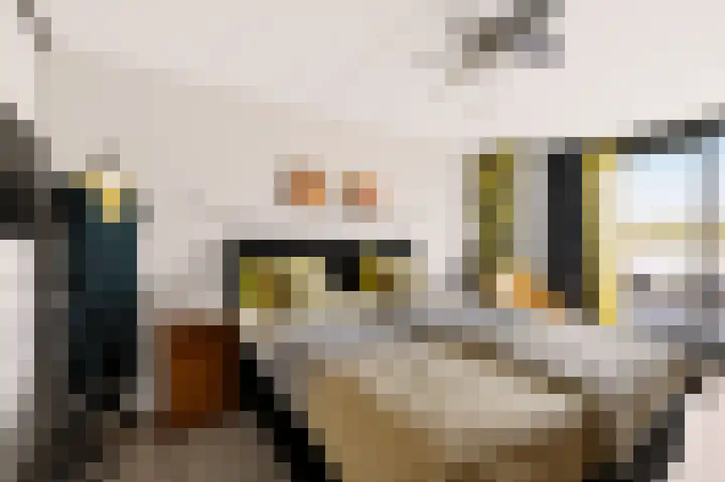 Toendrameer 44 Houten thumbnail 37