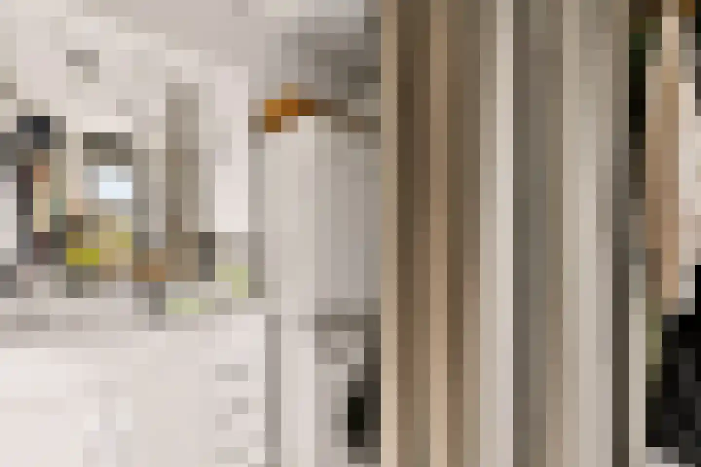 Toendrameer 44 Houten thumbnail 45