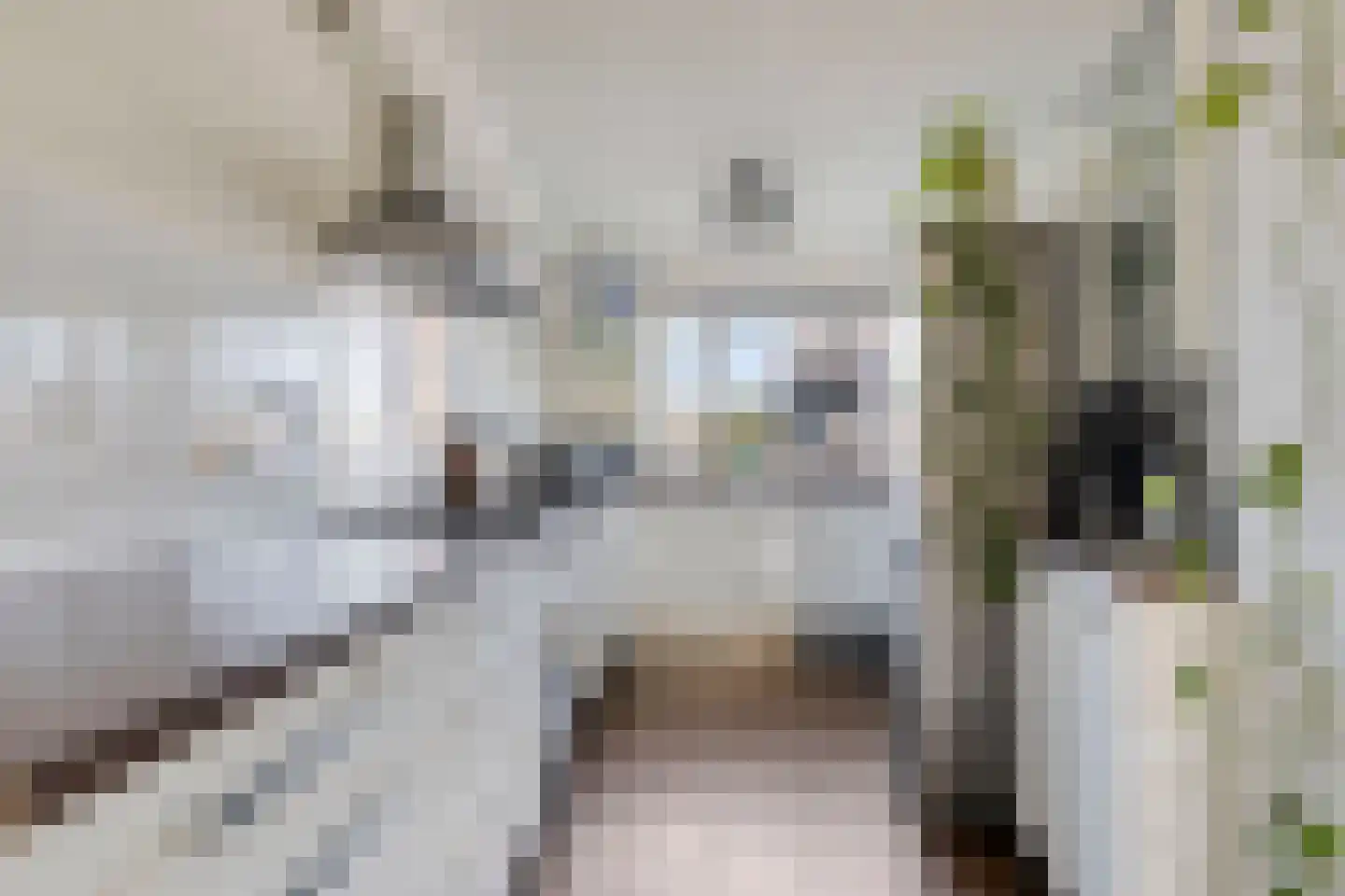 Toendrameer 85 Houten thumbnail 11